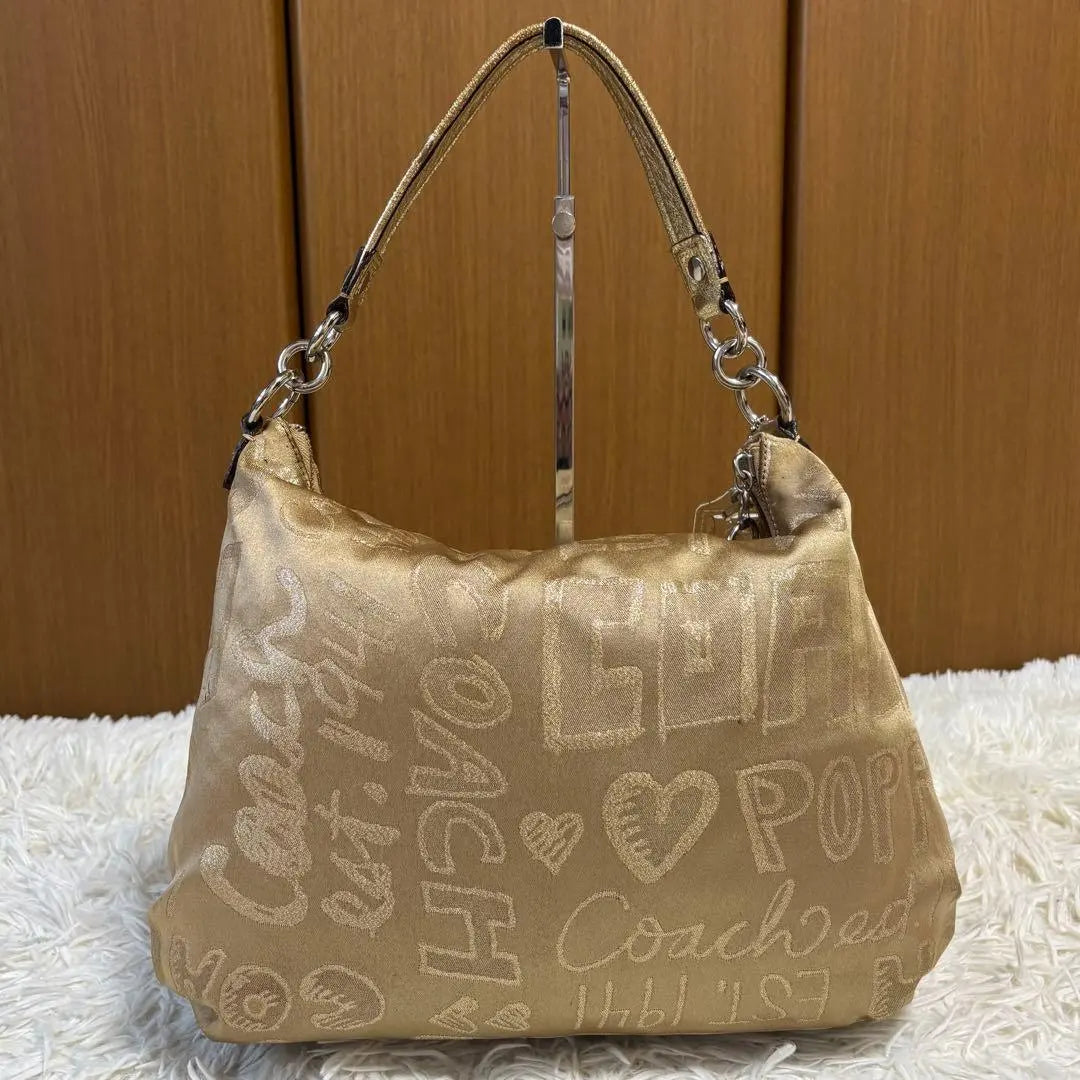 Coach Poppy Sateen Graffiti Pocket Hobo Bag