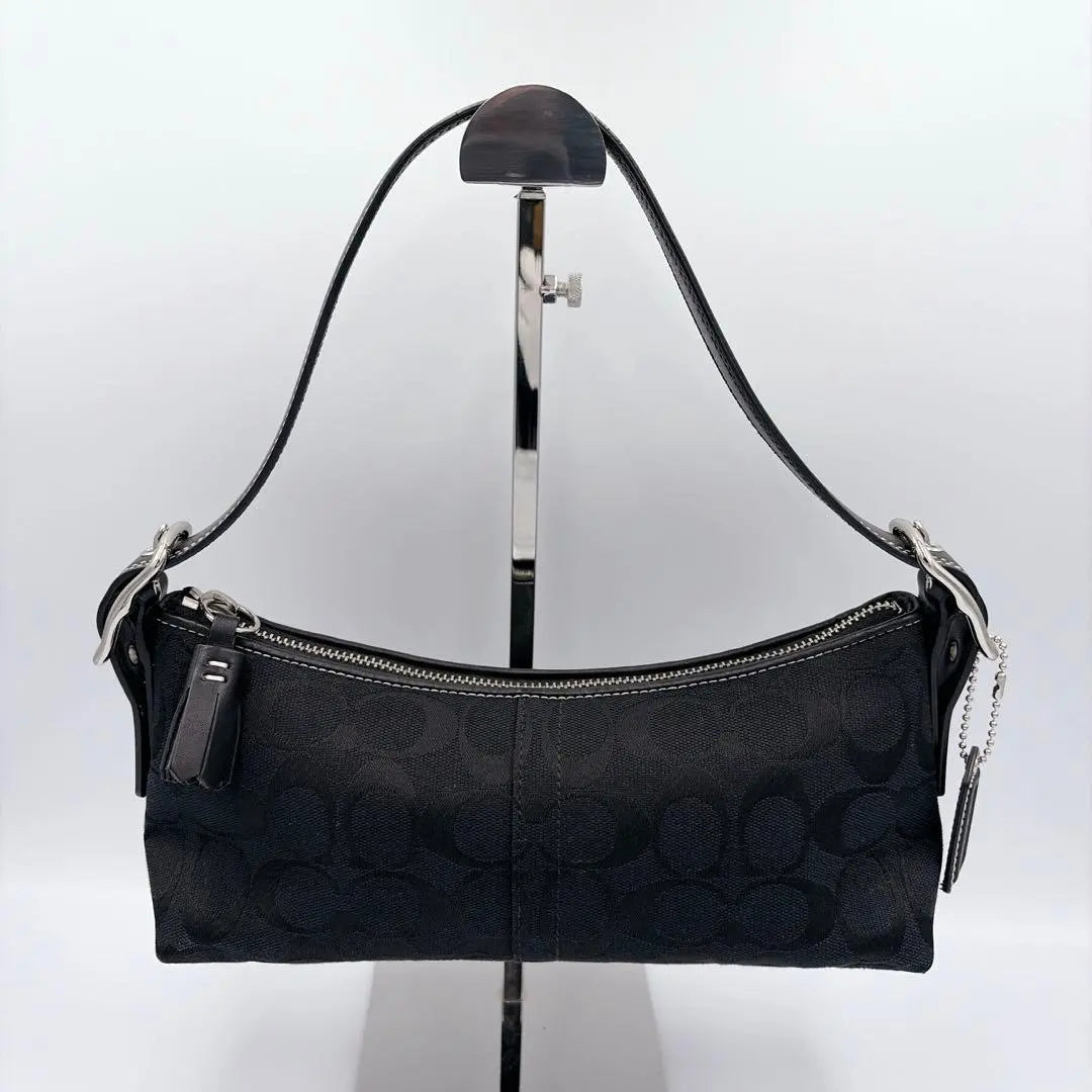 Coach East West Hampton Baguette Bag