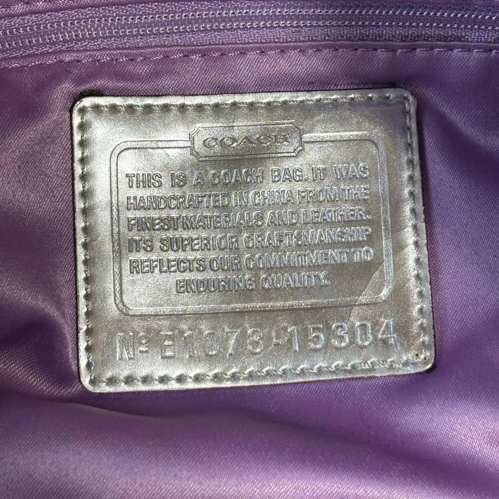 Coach Poppy Sateen Graffiti Pocket Hobo Bag