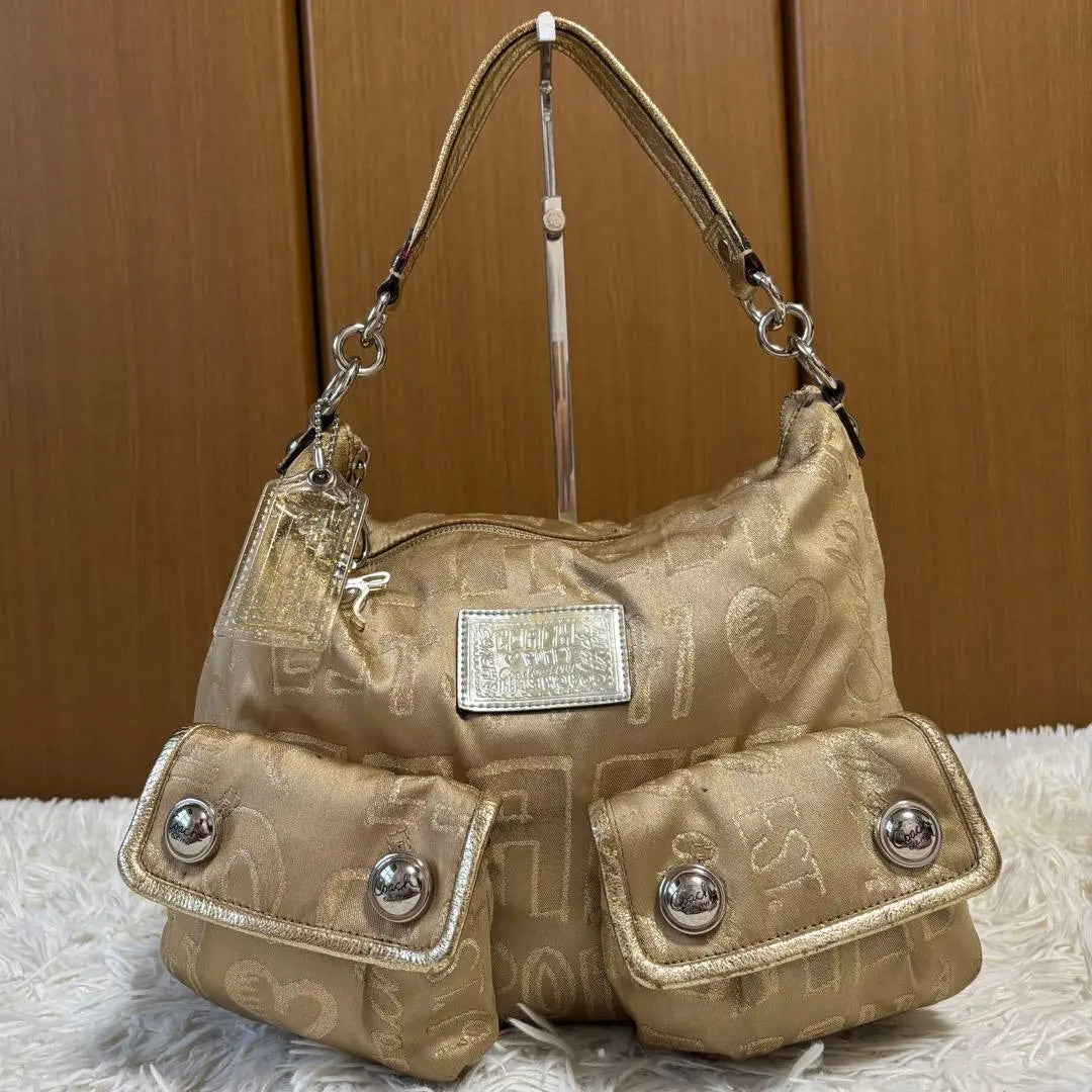 Coach Poppy Sateen Graffiti Pocket Hobo Bag