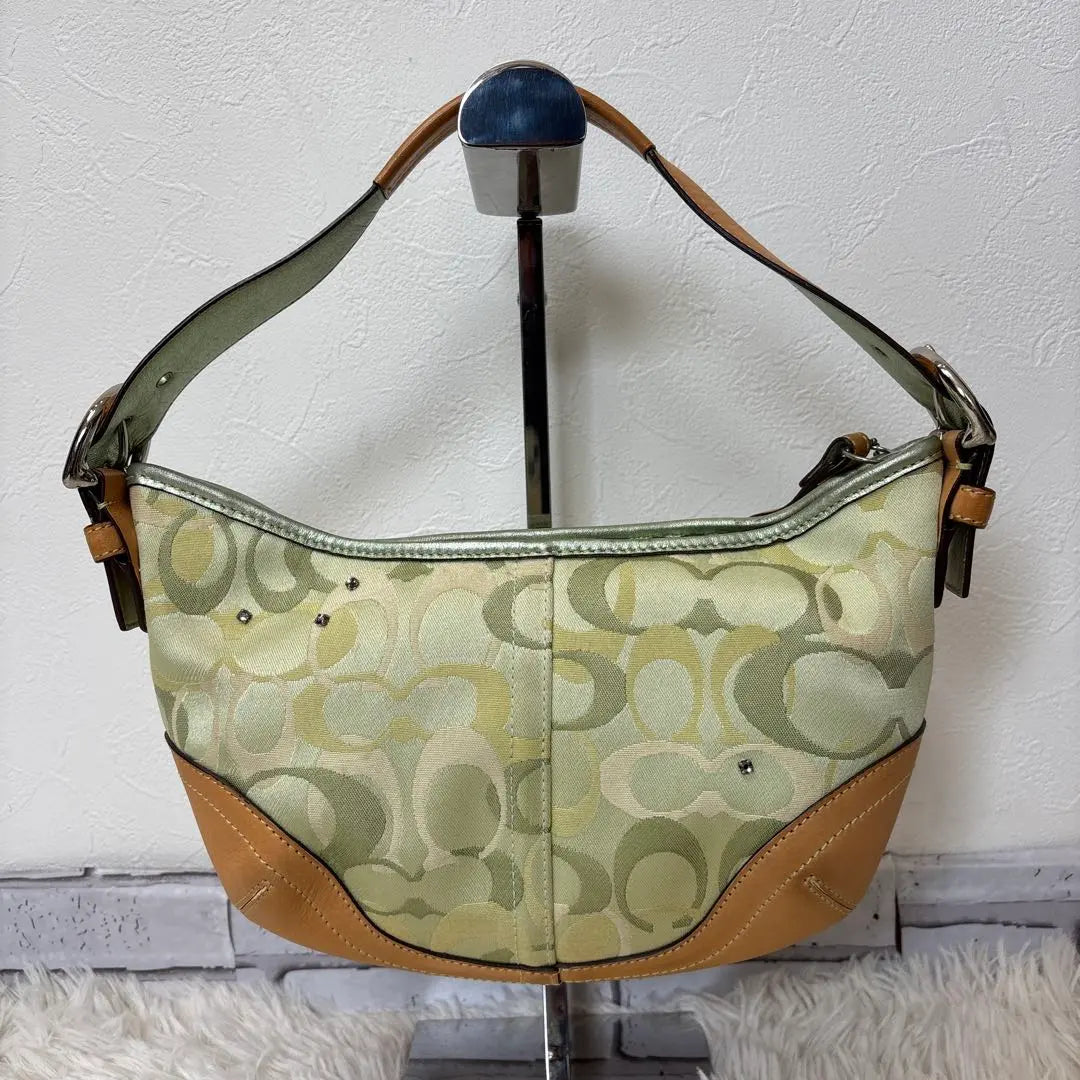 Ladybug Coach Soho Green